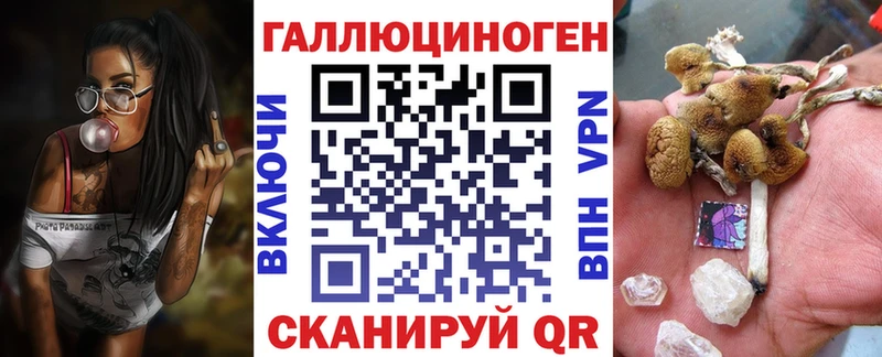 Псилоцибиновые грибы Psilocybine cubensis Красавино